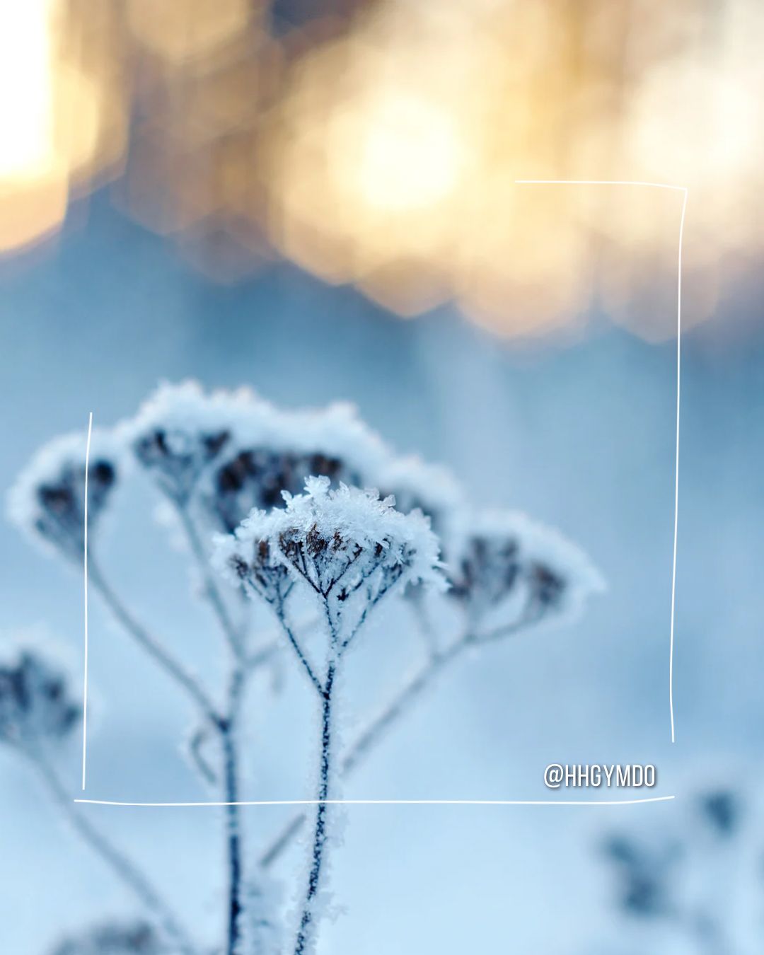 Montag kein Präsenzunterricht wegen Glättegefahr